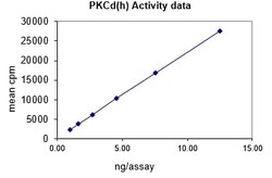 Eurofins DiscoverX PKC Protein, Active 10 &mu;g | Buy Online | Eurofins DiscoverX | Fisher Scientific
